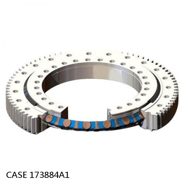 173884A1 CASE Turntable bearings for 9050B