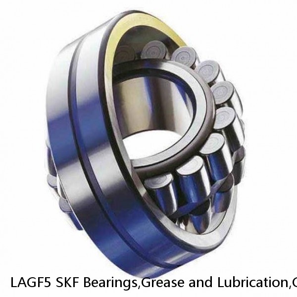 LAGF5 SKF Bearings,Grease and Lubrication,Grease, Lubrications and Oils