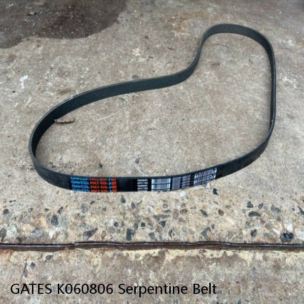 GATES K060806 Serpentine Belt 