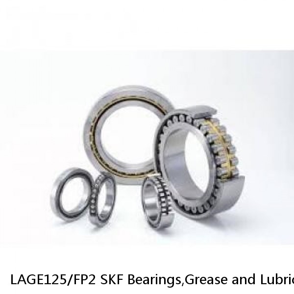 LAGE125/FP2 SKF Bearings,Grease and Lubrication,Grease, Lubrications and Oils