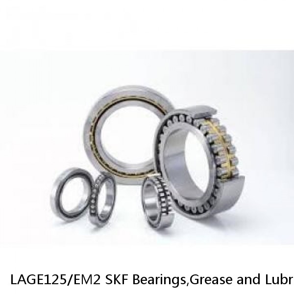 LAGE125/EM2 SKF Bearings,Grease and Lubrication,Grease, Lubrications and Oils
