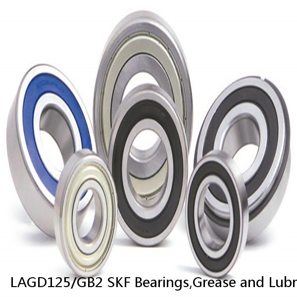 LAGD125/GB2 SKF Bearings,Grease and Lubrication,Grease, Lubrications and Oils #1 small image