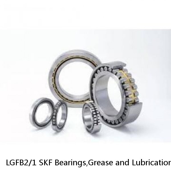 LGFB2/1 SKF Bearings,Grease and Lubrication,Grease, Lubrications and Oils
