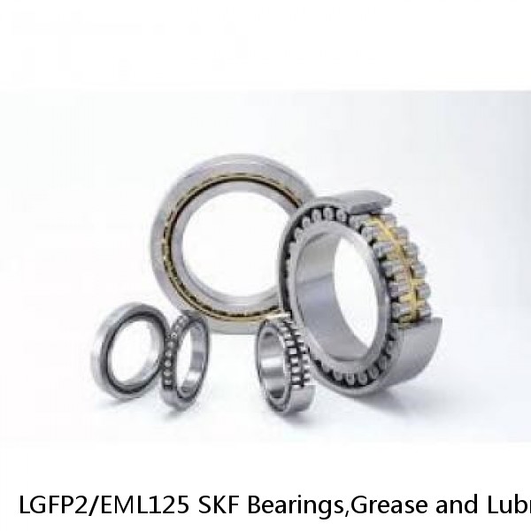 LGFP2/EML125 SKF Bearings,Grease and Lubrication,Grease, Lubrications and Oils