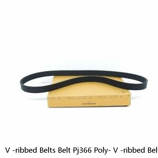V -ribbed Belts Belt Pj366 Poly- V -ribbed Belts Pj Elastic Multi-ribbed Belt Suitable For Logistics Conveyor Roller Drive Belt #1 small image