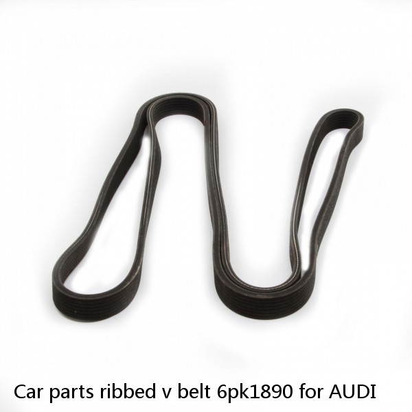 Car parts ribbed v belt 6pk1890 for AUDI #1 small image