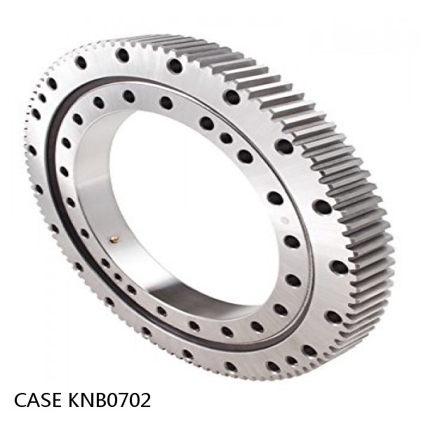 KNB0702 CASE Slewing bearing for CX130 #1 image