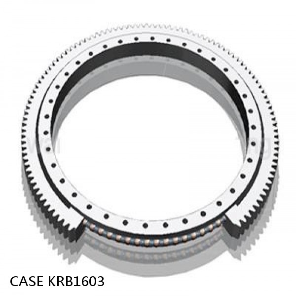 KRB1603 CASE SLEWING RING for CX210 #1 image