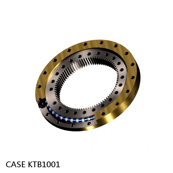 KTB1001 CASE Turntable bearings for CX460 #1 image