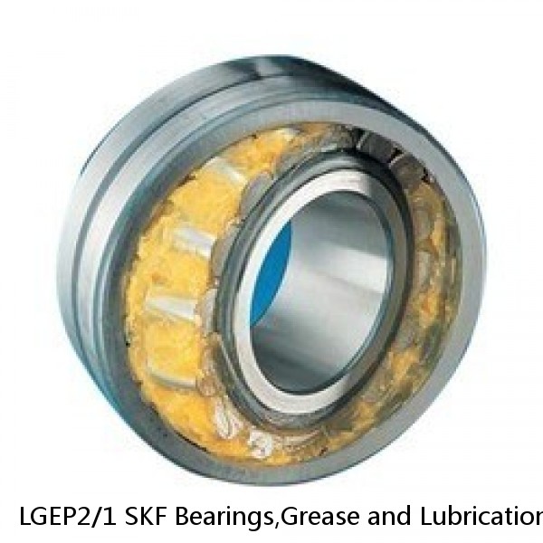 LGEP2/1 SKF Bearings,Grease and Lubrication,Grease, Lubrications and Oils #1 image