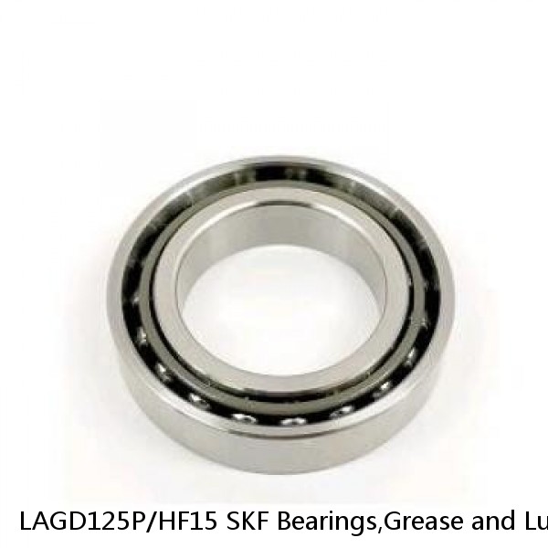 LAGD125P/HF15 SKF Bearings,Grease and Lubrication,Grease, Lubrications and Oils #1 image