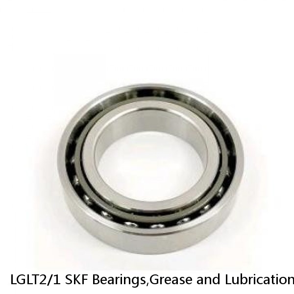 LGLT2/1 SKF Bearings,Grease and Lubrication,Grease, Lubrications and Oils #1 image