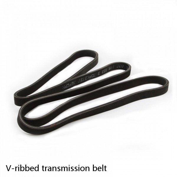 V-ribbed transmission belt #1 image