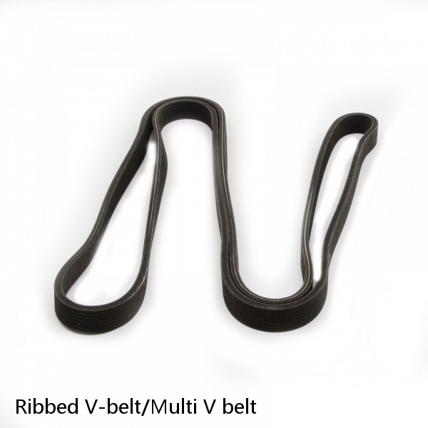 Ribbed V-belt/Multi V belt #1 image