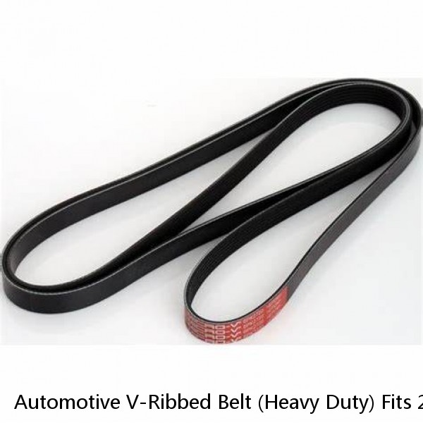 Automotive V-Ribbed Belt (Heavy Duty) Fits 2001-1998 Fits Volvo VN Series, Detro #1 image
